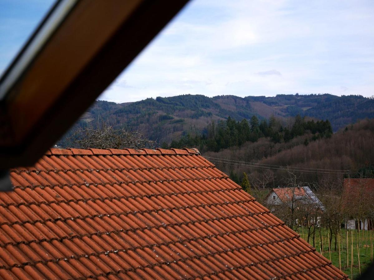 Ferienwohnung Obere Alm Oberkirch  Exterior photo